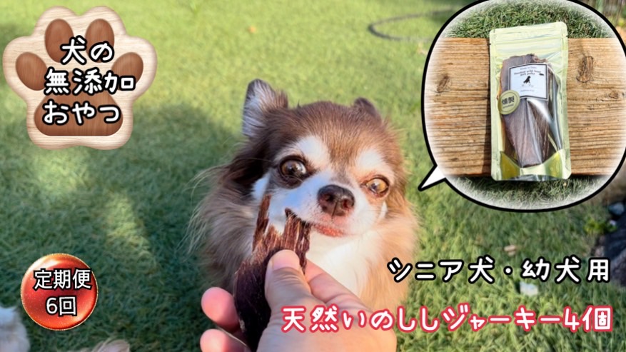 FB099  シニア犬＆幼犬用の無添加おやつ☆固すぎない天然いのししジャーキー4個【定期便全6回】