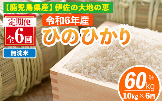 isa520-B 【定期便6回】 ＜無洗米＞選べる精米方法！令和6年産 鹿児島県伊佐南浦産ひのひかり (合計60kg・計10kg×6ヵ月) 国産 白米 精米 無洗米 伊佐米 お米 米 生産者 定期便 ひのひかり 新米【Farm-K】