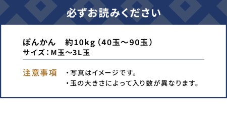 ぽんかん 10kg ミカン ポンカン オレンジ 蜜柑 果実 フルーツ 大分県産 九州産 津久見市 国産【tsu000603】