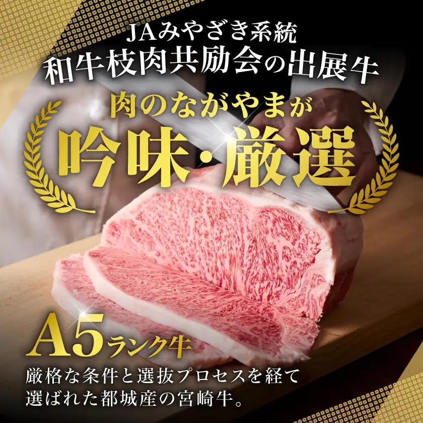 【和牛枝肉共励会牛】(A5)宮崎牛サーロインステーキ200g×2〔AD-25-001〕(都城市) 宮崎県 宮崎牛 サーロイン ロース ステーキ 真空 品評会出展牛 特別セット