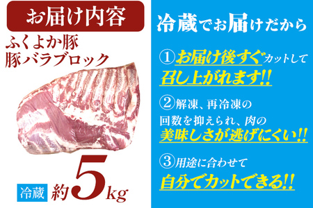 ふくよか豚バラブロック約5kg 豚バラブロック 豚バラブロック肉 豚肉 ブタ肉 豚 豚バラ ブロック肉 塊肉 自家製ベーコン チャーシュー しゃぶしゃぶ 角煮 燻製 煮込み料理 ふくよか豚 焼き鳥 サ