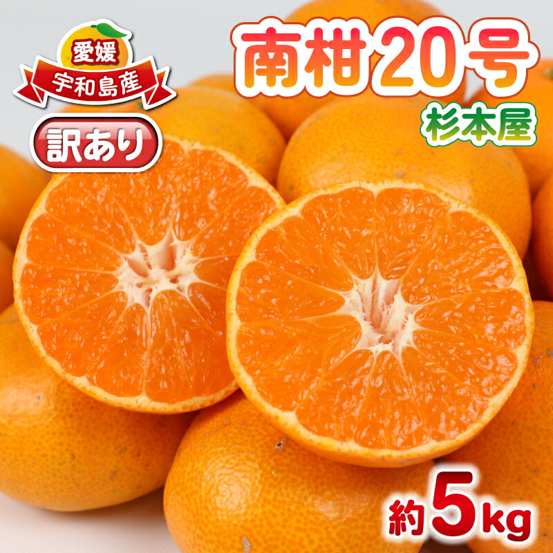 【ふるさと納税】 訳あり 南柑20号 みかん 5kg 杉本屋 わけあり 訳あり品 訳アリ 愛媛みかん 愛媛蜜柑 愛媛ミカン 温州 温州みかん 愛媛県産 甘い 果物 くだもの フルーツ 柑橘 蜜柑 mikan 産地直送 数量限定 国産 愛媛 宇和島 B010-143015