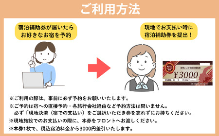 信州いいやま 宿泊補助券 30,000円分 信州飯山 宿泊補助券 T-5 