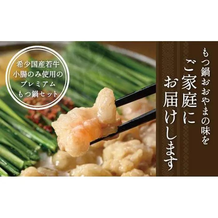 【定期便6ヶ月】福岡売上No1 博多もつ鍋おおやま もつ鍋みそ・しょうゆ (2人前)各3回お届け