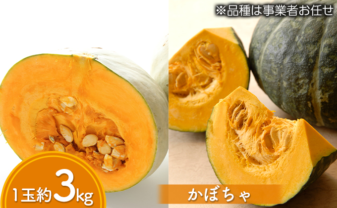 道の駅とうや湖 秋の味覚4種セット(新米ゆめぴりか・じゃがいも・玉ねぎ・かぼちゃ) 計約14kg≪令和5年産新米≫