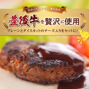 A05065　豊後牛ハンバーグ（プレーン・チーズ入り）　合計10個セット（合計約1kg）
