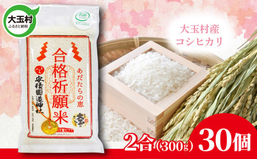 【令和5年産】 合格祈願米 コシヒカリ 真空米 2合 ( 300g )× 30個 受験 御利益 【21017】 合格 ご祈祷 願掛け