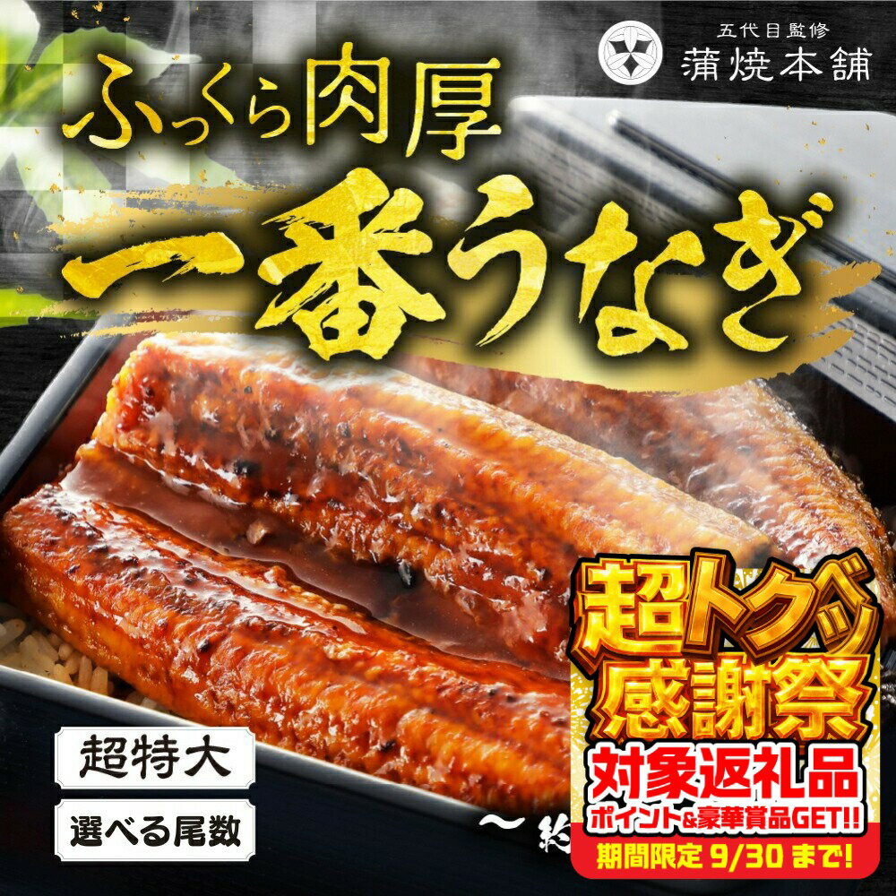【ふるさと納税】お届け時期が選べる ≪特大サイズ≫ 国産うなぎ蒲焼 2尾 ~ 6尾 タレ付 うなぎ unagi 鰻 国産 ウナギ 蒲焼 土用の丑の日 国産うなぎ 贅沢 ご褒美 お取り寄せ うな重 うな丼 ひつまぶし 冷凍 惣菜 お祝い 大きい 超特大 年末配送 年内配送 年末 愛知県 豊橋市