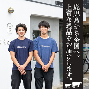 No.1054-B 鹿児島県産黒毛和牛モモ赤身！ビーフジャーキー(計10袋)国産 九州産 牛肉 黒毛和牛 和牛 おつまみ 肴 おやつ 間食 小分け セット【1129】