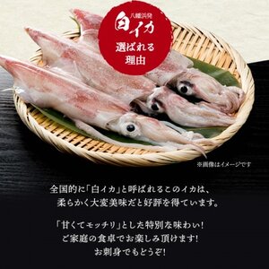 【冷凍便】八幡浜発!「白イカ(剣先イカ)」ドカーンと1.5kg!【D22-217】【配送不可地域：離島】【1043152】