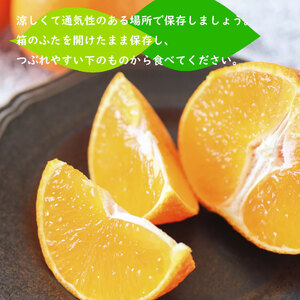 【2026年1月下旬ごろ順次発送】甘平 かんぺい 約 3kg | 柑橘 みかん 蜜柑 ミカン 愛媛 中島 オリジナル 柑橘 ブランド 高級 糖度【SHM0041】