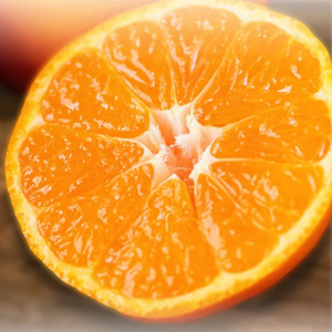 【11月下旬頃～1月中旬頃に発送予定】温州みかん 2kg 愛媛 中島産 希望の島 家庭用 みかん 柑橘