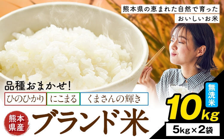
                  米  南関町 単一原料米 (ひのひかりorにこまるorくまさんの輝き) 無洗米 10kg《7-14日以内に出荷予定(土日祝除く)》熊本県産 国産 ひのひかり 無洗米 こめ コメ 10キロ
                