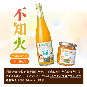 デコジュース(計4本・各600ml)国産 飲み物 ドリンク ジュース 不知火 オレンジ 柑橘 飲料 加工品 ギフト プレゼント【デイハウスふたば脇本】akn041-08