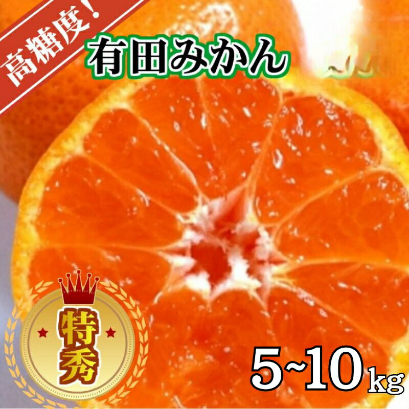 【ふるさと納税】 高糖度 有田みかん 特秀品 ※2026年10月上旬～12月下旬頃発送予定 / みかん 温州 柑橘 蜜柑 くだもの 果物 果実 フルーツ 和歌山 有田 //mandarin