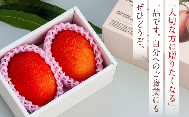 《2026年発送先行予約》【数量・期間限定】【贈答用】La Brilliant Mango(3L×2玉) マンゴー 完熟 漿果堂 cafe&grocery HITOKIWA