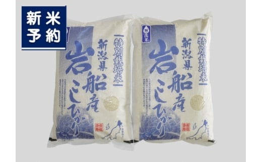 【新米受付・令和7年産米】【無洗米】特別栽培米 新潟県村上市岩船産 コシヒカリ10kg 1029006N