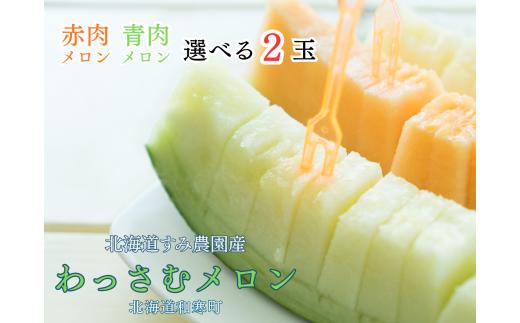 〈令和8年産〉おまかせメロン 2玉 赤肉 青肉 おまかせ セット 北海道 和寒町 和寒メロン 北海道メロン 果物 フルーツ 新鮮 甘い