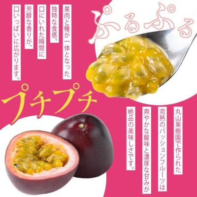 ふるさと納税 肝付町 《期間限定》鹿児島県産 パッションフルーツ (約2.2kg・12玉入り2箱)　A68002 |  | 01
