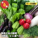 【ふるさと納税】 数量限定 定期便 年 6回 旬 野菜 詰め合わせ セット 野菜セット 9 ～ 10品 限定 セット やさい 送料無料 NK10000人気 ランキング 食品 お楽しみ バラエティ おすすめ 6ヶ月 春夏秋冬 旬