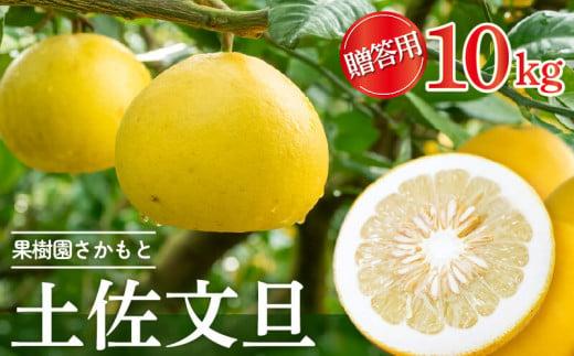 【2025年2月より発送】 高知県産 土佐文旦 贈答用 10kg 優品 時期 土佐 文旦 ぶんたん ブンタン 人気 旬 柑橘 フルーツ 果物 国産 ブランド ビタミン 生産者 産地 高知 須崎
