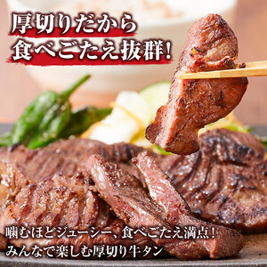 やわらか 厚切り 牛タン 塩味 500g ｜ 牛タン 仙台