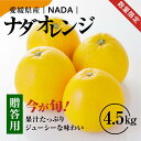 【ふるさと納税】【先行予約】【農家直送】愛媛県産 ナダオレンジ 贈答用 4.5kg ｜ 柑橘 蜜柑 みかん ミカン 果物 フルーツ 河内晩柑 ※2025年5月中旬頃より順次発送予定