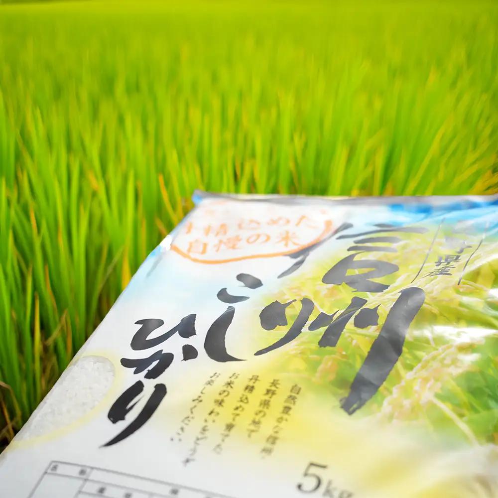 令和8年産 長野県長和町産こしひかり10kg(キロ) 一等米 精白米 農家直送 冷めてもおいしいお米