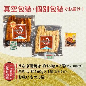 【定期便6ヶ月】国産鰻 蒲焼 2尾 白むし1尾 沼津 うなぎ 鰻
