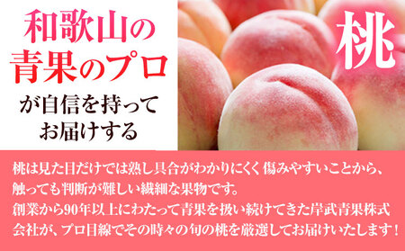 訳あり 和歌山の桃 約2kg (約6~9玉入) 岸武青果株式会社《2026年6月下旬-8月末頃出荷》｜桃 もも モモ フルーツ 果物 白鳳 清水白桃 川中島白桃  和歌山県産の桃 紀の川市の桃 和歌山