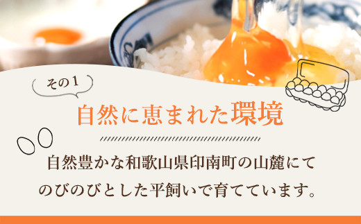 【全3回】紀の国みかん極みたまご定期便