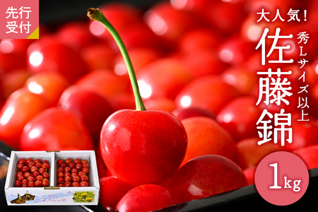 【令和8年産】さくらんぼ「佐藤錦」秀Ｌ以上１kgバラ詰 （500g×2パック）【JAさがえ西村山】