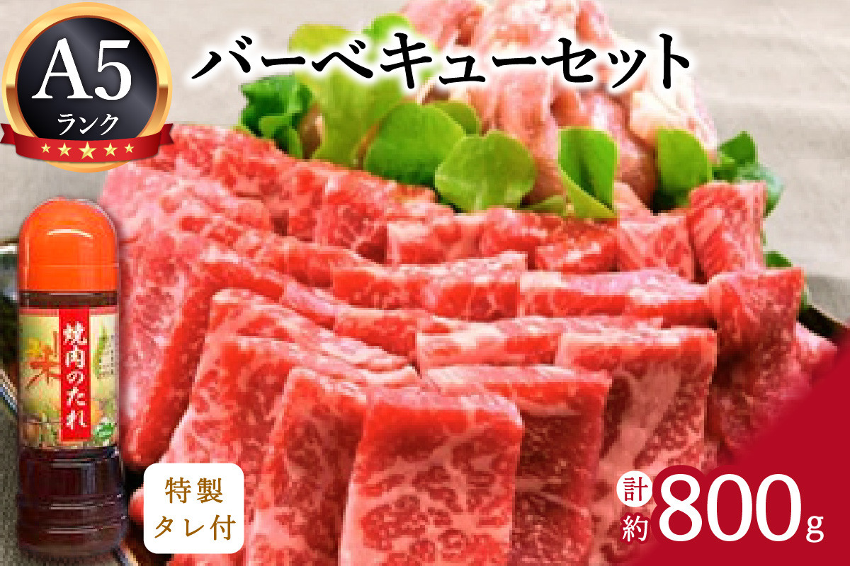 
バーベキューセット 伊万里牛 モモ 鶏肉 約800g J340
