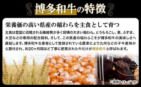 A4ランク 博多和牛 焼肉用肩ロース＆すき焼き用もも肉 食べくらべセット(計約900g) 送料無料《30日以内に出荷予定(土日祝除く)》博多和牛 小竹町 株式会社吉浦コーポレーション