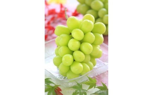 果汁たっぷり、はじけるおいしさです！