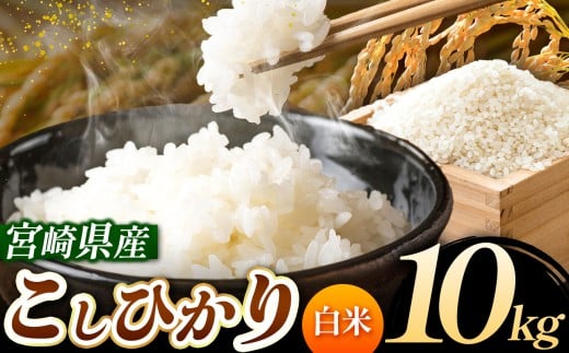 令和7年産 こしひかり 10kg （白米） 宮崎県産 | 米 こめ お米 おこめ 精米 白米 宮崎県 五ヶ瀬町