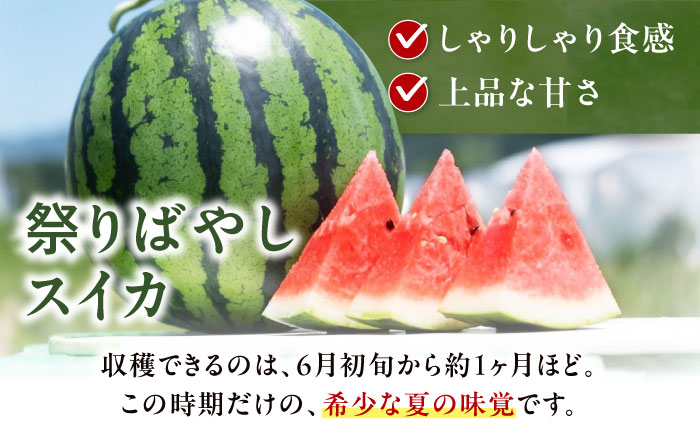 【先行予約】【2026年6月上旬から順次発送】 スイカ【祭りばやし】4L（9〜10kg）×2玉 計18〜20kg すいか 西瓜 フルーツ 果物 くだもの 愛媛県大洲市/ふじた農園 [AGDH004]