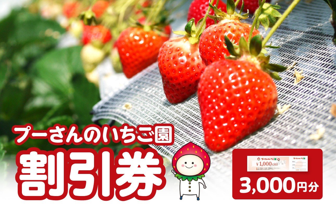 
            プーさんのいちご園　割引券（3,000円分）【レターパック】 イチゴ狩り あまおう 恋みのり 紅ほっぺ さがほのか かおり野 おいCベリー あまえくぼ よつぼし 高設栽培 多段式 バリアフリー 車椅子 子供 品種 完熟 摘みたて 新鮮 家族 清潔 福岡県 八女市
          