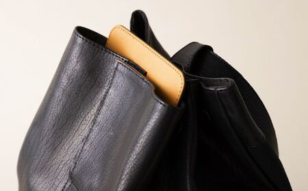 【数量限定 受注生産】革のカシミヤ　国産野生鹿革を使用したレザー デイパック BK（ブラック）