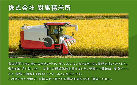 【10月中旬発送】まっしぐら10kg(精米)【株式会社 對馬精米所】米 お米 青森県産 産地直送 おにぎり カレー 丼 ご飯 コメ こめ 白米 ごはん ブランド米 特A 特A米 お取り寄せ グルメ《h
