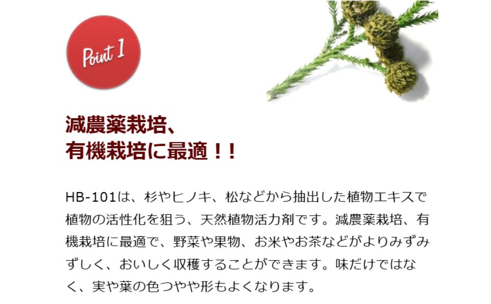 HB-101 おためしセット