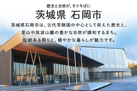 【応援寄附】茨城県石岡市　返礼品なしのご寄附　1.000円 茨城県 石岡市 G19-001