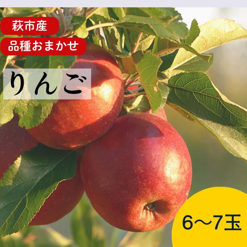 【ふるさと納税】リンゴ 詰め合わせ 萩りんご 萩産 季節の品種 約6?7玉 果物 フルーツ スイーツ デザート 国産 日本産 食品 グルメ 食卓 山口県 萩市 美味しい おいしい プレゼント ギフト プチギフト 贈り物 お中元 人気 おすすめ 贈答用 誕生日プレゼント お祝い