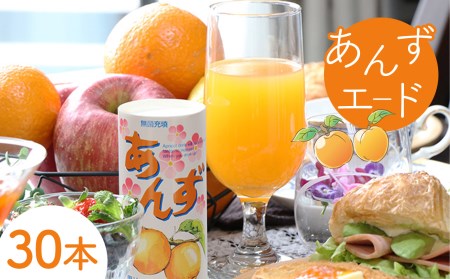 日本一のあんずの里 あんずエード 30本 気軽に楽しめる あんずジュース 杏飲料 千曲市産あんず 杏 杏子