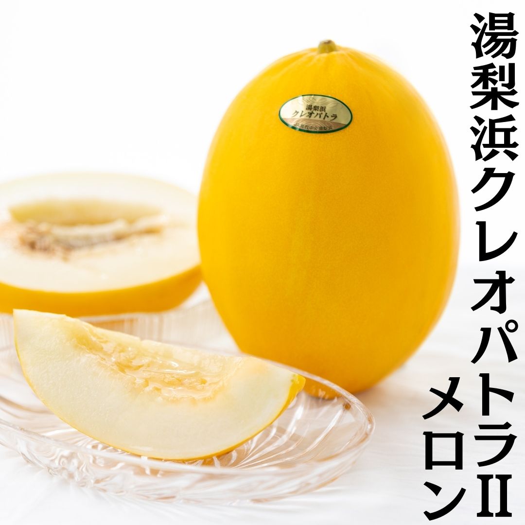 【ふるさと納税】メロン クレオパトラ 2 5kg 4玉 5玉 6玉 2玉 | 鳥取県 湯梨浜町 果物 フルーツ 特産品 送料無料 2026年 先行予約 先行受付