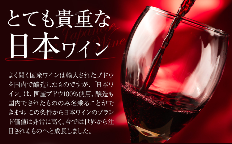 酒 日本ワイン 720ml 1本 矢掛放送 岡山県矢掛町《30日以内に出荷予定(土日祝除く)》 酒 ワイン 国産 ヒロハンブルグ 赤ワイン 国産 ブドウ---osy_cyhwine_30d_25_37