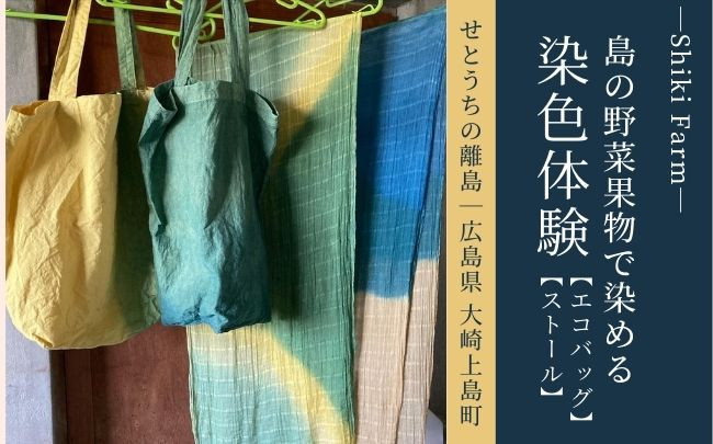 
島の色に染めてみよう！大崎上島の野菜果物染め体験ペア利用（ストール＆エコバッグ）
