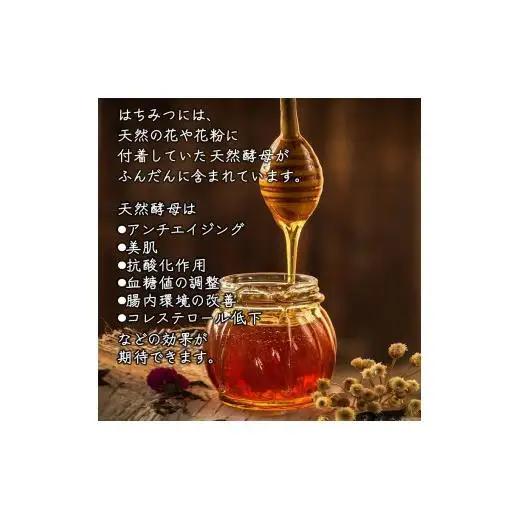 国産純粋生はちみつ ハニービーズコレクション“しろいの季節” 40g お試しサイズ 純粋はちみつ 非加熱 添加物なし 百花蜜 単花蜜 国産はちみつ 生はちみつ100% 美味しい