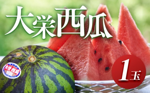 【先行受付】大栄西瓜（すいか） 1玉（高間商店）※2026年6月中旬～7月中旬頃に順次発送予定 【西瓜 スイカ 大栄すいか 果物 フルーツ くだもの 鳥取県 北栄町 おすすめ 人気 送料無料】