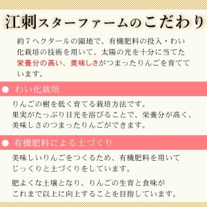 【スターファーム】 こだわり栽培の はるか 厳選品 3kg 岩手県奥州市産りんご 産地直送 [AY002]